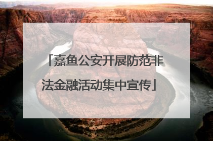 嘉鱼公安开展防范非法金融活动集中宣传