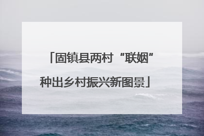 固镇县两村“联姻”种出乡村振兴新图景