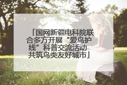 国网新疆电科院联合多方开展“爱鸟护线”科普交流活动 共筑鸟类友好城市