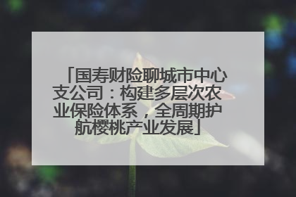 国寿财险聊城市中心支公司：构建多层次农业保险体系，全周期护航樱桃产业发展