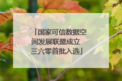 国家可信数据空间发展联盟成立 三六零首批入选
