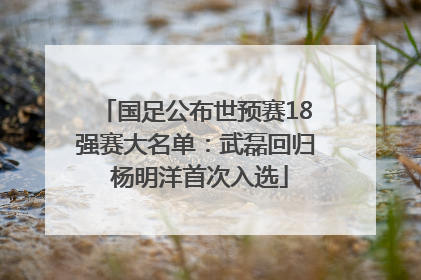 国足公布世预赛18强赛大名单：武磊回归 杨明洋首次入选