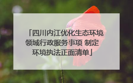 四川内江优化生态环境领域行政服务事项 制定环境执法正面清单