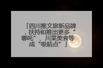四川推文旅新品牌，扶持和推出更多“哪吒”、川菜美食等成“吸睛点”