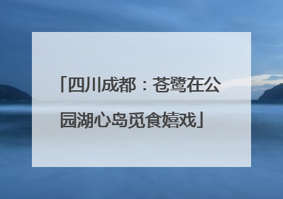 四川成都：苍鹭在公园湖心岛觅食嬉戏