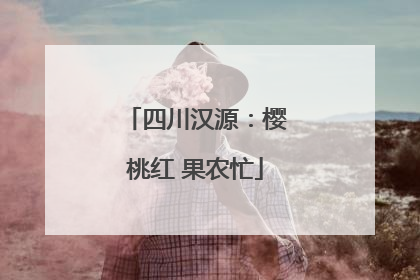 四川汉源：樱桃红 果农忙