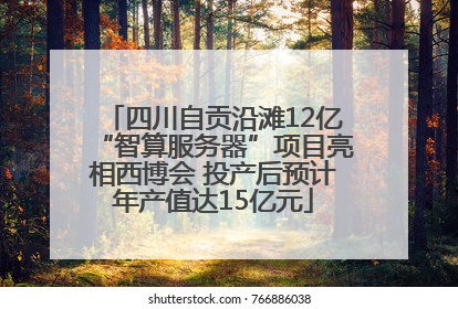 四川自贡沿滩12亿“智算服务器”项目亮相西博会 投产后预计年产值达15亿元