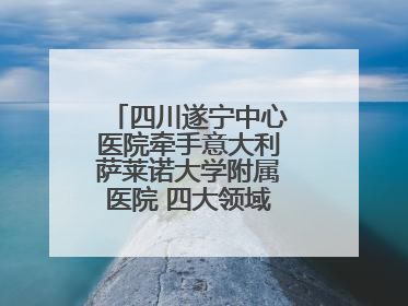四川遂宁中心医院牵手意大利萨莱诺大学附属医院 四大领域开展全面合作