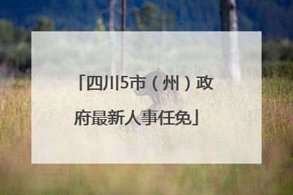 四川5市（州）政府最新人事任免