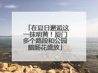 在夏日邂逅这一抹明黄！厦门多个路段和公园腊肠花盛放