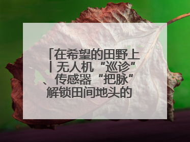 在希望的田野上丨无人机“巡诊”、传感器“把脉” 解锁田间地头的丰收密码