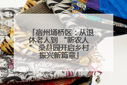 宿州埇桥区：从退休老人到 “新农人” 桑葚园开启乡村振兴新篇章
