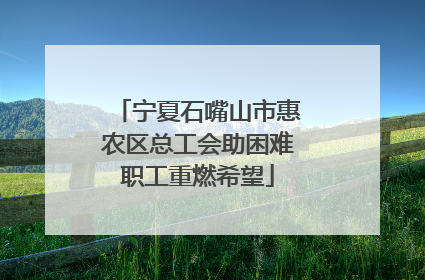 宁夏石嘴山市惠农区总工会助困难职工重燃希望