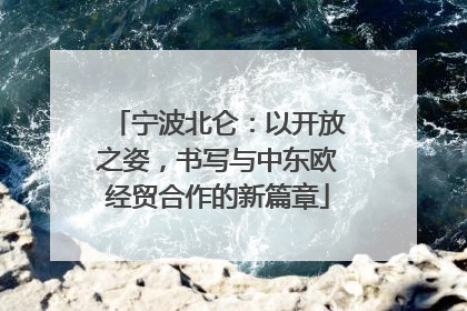 宁波北仑：以开放之姿，书写与中东欧经贸合作的新篇章