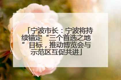宁波市长：宁波将持续锚定“三个首选之地”目标，推动博览会与示范区互促共进