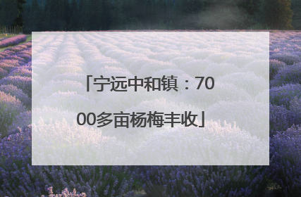 宁远中和镇：7000多亩杨梅丰收