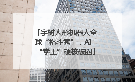 宇树人形机器人全球“格斗秀”，AI“拳王”硬核破圈