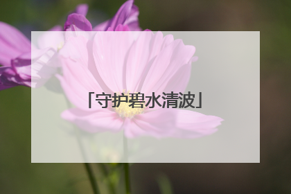 守护碧水清波