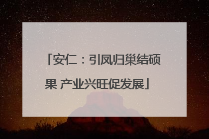 安仁：引凤归巢结硕果 产业兴旺促发展