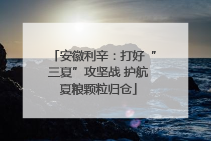 安徽利辛：打好“三夏”攻坚战 护航夏粮颗粒归仓