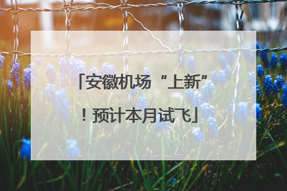 安徽机场“上新”！预计本月试飞