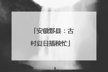安徽黟县：古村夏日插秧忙