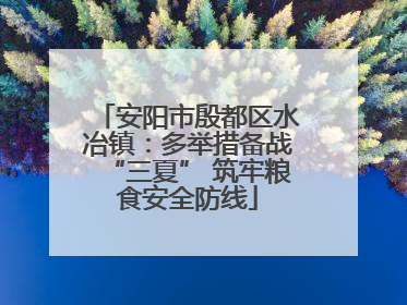 安阳市殷都区水冶镇：多举措备战“三夏” 筑牢粮食安全防线