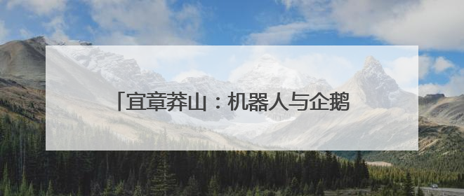 宜章莽山：机器人与企鹅共舞 暑期文旅场景焕新