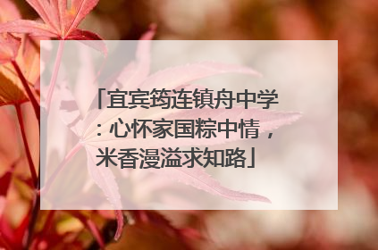 宜宾筠连镇舟中学：心怀家国粽中情，米香漫溢求知路