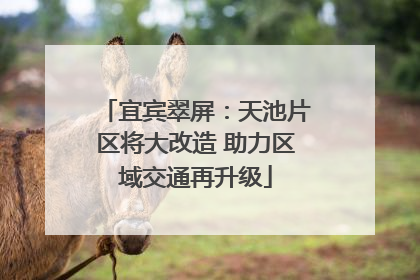 宜宾翠屏：天池片区将大改造 助力区域交通再升级