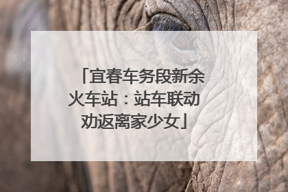 宜春车务段新余火车站：站车联动劝返离家少女