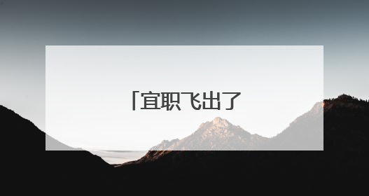 宜职飞出了“火凤凰”