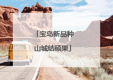 宝岛新品种 山城结硕果