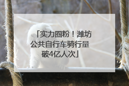实力圈粉！潍坊公共自行车骑行量破4亿人次