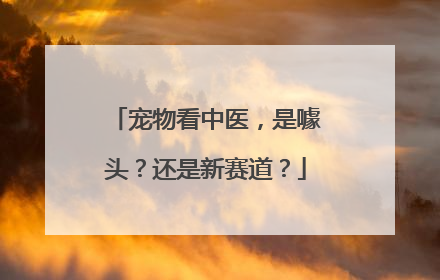 宠物看中医，是噱头？还是新赛道？