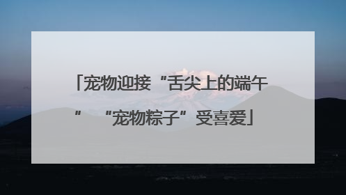 宠物迎接“舌尖上的端午” “宠物粽子”受喜爱