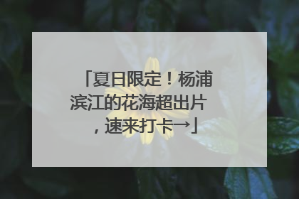 夏日限定！杨浦滨江的花海超出片，速来打卡→