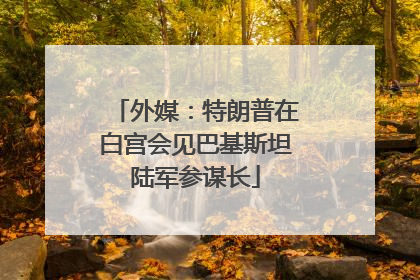 外媒：特朗普在白宫会见巴基斯坦陆军参谋长