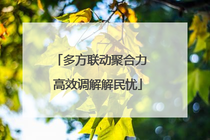 多方联动聚合力 高效调解解民忧