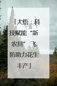 大悟：科技赋能“新农具” 飞防助力花生丰产