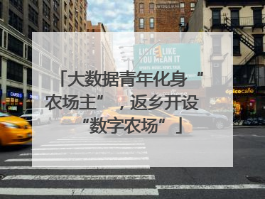 大数据青年化身“农场主”，返乡开设“数字农场”