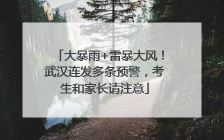 大暴雨+雷暴大风！武汉连发多条预警，考生和家长请注意