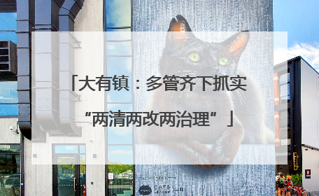 大有镇：多管齐下抓实“两清两改两治理”