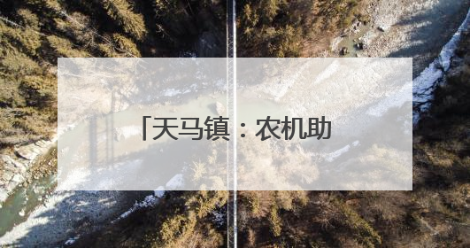 天马镇：农机助力油菜颗粒归仓