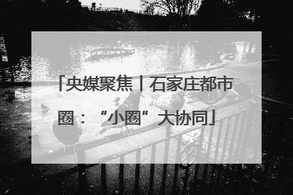 央媒聚焦丨石家庄都市圈:“小圈”大协同