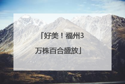 好美！福州3万株百合盛放