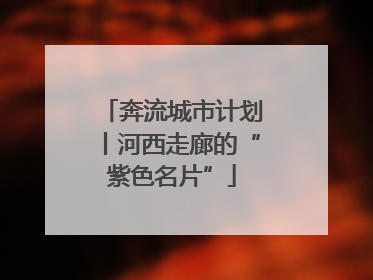 奔流城市计划丨河西走廊的“紫色名片”