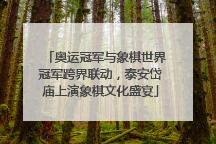 奥运冠军与象棋世界冠军跨界联动，泰安岱庙上演象棋文化盛宴