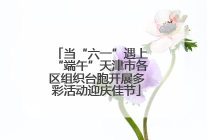 当“六一”遇上“端午”天津市各区组织台胞开展多彩活动迎庆佳节