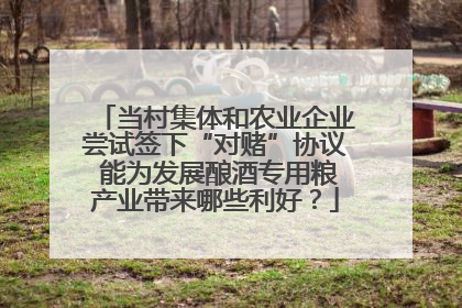 当村集体和农业企业尝试签下“对赌”协议 能为发展酿酒专用粮产业带来哪些利好？